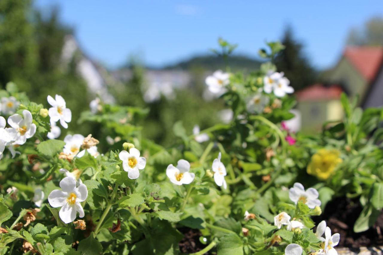 Ermis Apartments Metzingen  Dış mekan fotoğraf